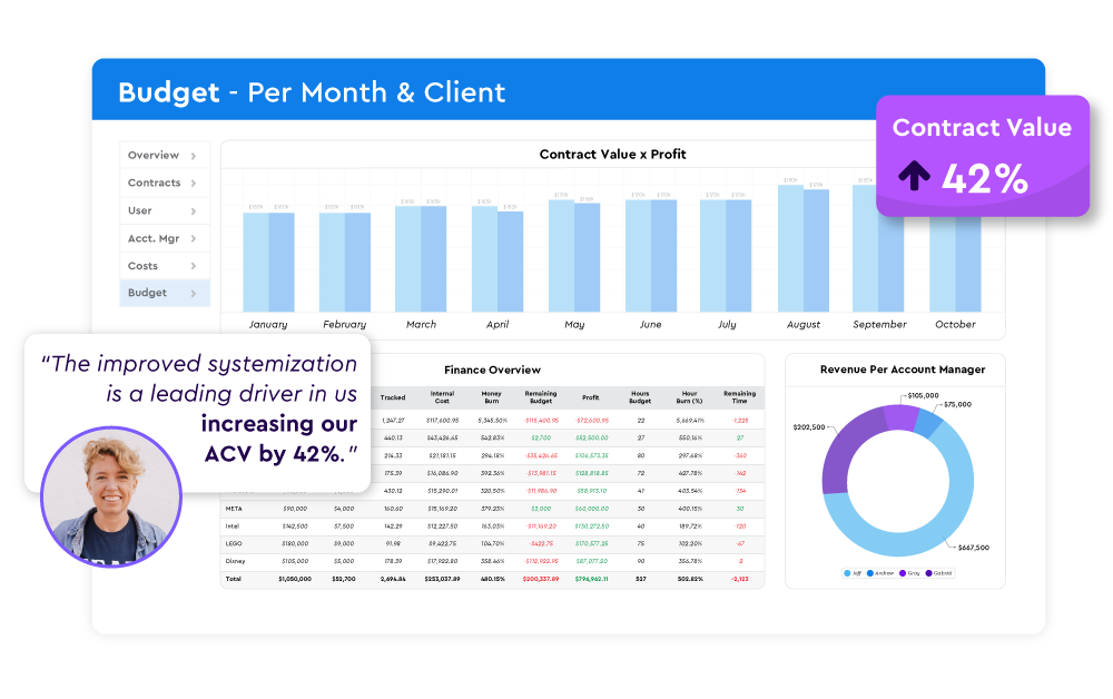 Agency Budget Dashboard - Per Month and Client