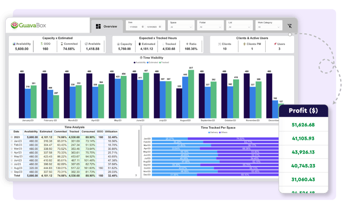 Agency Profitability Reporting and Optimization