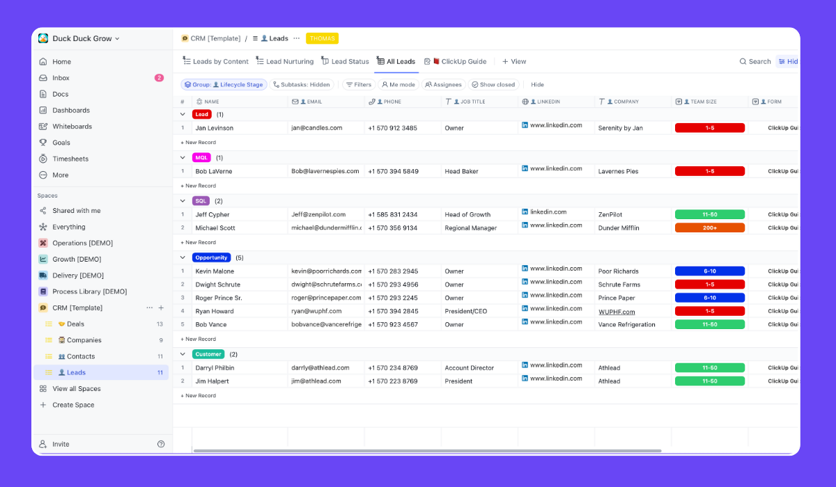 ClickUp Lead Tracker - All Leads View