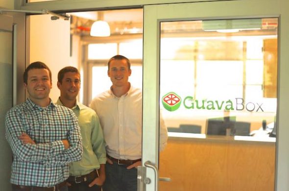 guavabox-office-590x390
